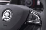 Skoda Kamiq 2019 года (WW)